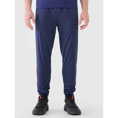 Men's quick-drying training pants 4F 4FWSS25TFTRM0835-30M