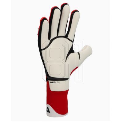 3. adidas Predator Pro M IW6276 goalkeeper gloves