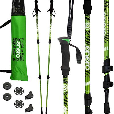 19. NORDIC WALKING TRAVEL POLES IN ENERO CASE