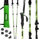 19. NORDIC WALKING TRAVEL POLES IN ENERO CASE