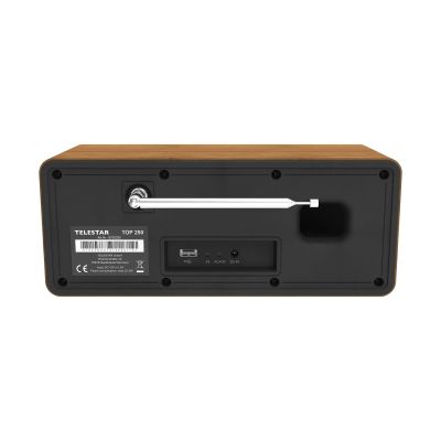4. Wooden multifunctional radio station TELESTAR TOP 250