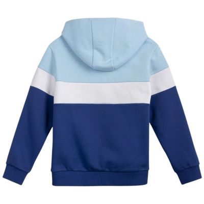 2. Sweatshirt 4F Jr HJL22 JBLD002 33S
