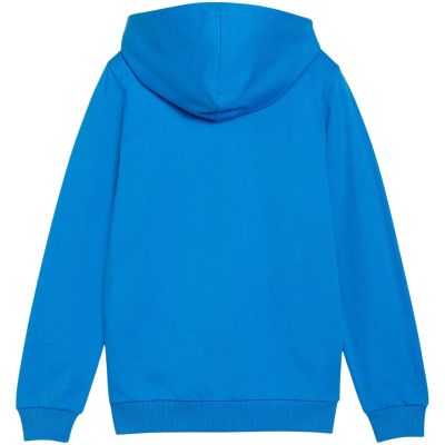 5. Puma teamGoal Casuals Hooded Jr sweatshirt 658596 02