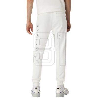 11. Tommy Hilfiger Mono M pants MW0MW22154