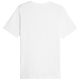 2. Puma ESS+ LOGO LAB Holiday Tee M 675922 02