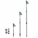 2. Trekking sticks Spokey CARBON 940974