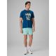 3. Men's regular printed T-shirt 4F 4FRSS26TTSHM4306-46S