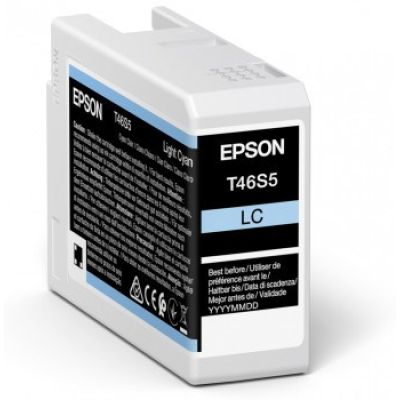 2. Epson Ink Light cyan (C13T46S500)