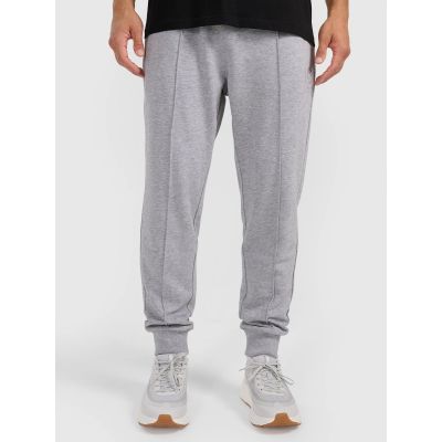 Men's jogger sweatpants 4F 4FRAW25TTROM1671-27M