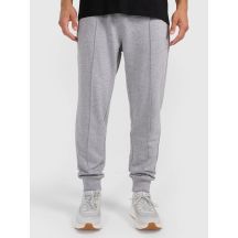 Men's jogger sweatpants 4F 4FRAW25TTROM1671-27M