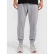 Men's jogger sweatpants 4F 4FRAW25TTROM1671-27M