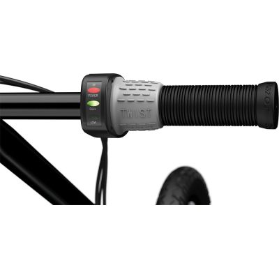 13. RAZOR electric scooter EcoSmart SUP 13173819