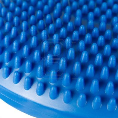 12. BB 015 stabilizing disc
