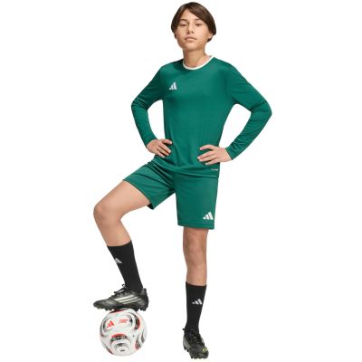 7. adidas Entrada 26 Long Sleeve Jersey for Kids Green KF5873
