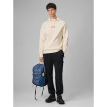 Men's cargo sweatpants 4F 4FRSS26TTROM1916-20S