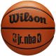 4. Wilson Jr NBA Fam Logo Basketball WZ3013001XB6