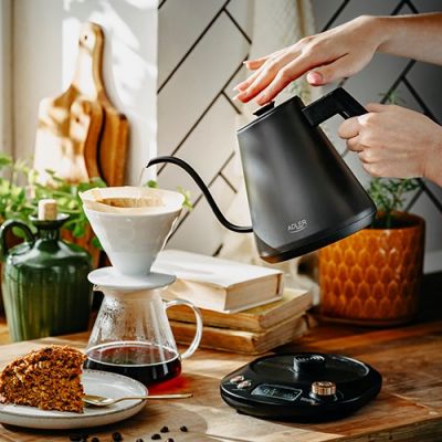10. Electric Kettle ADLER AD 1349