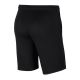 3. Nike Dri-FIT Park 20 M CW6152-010 shorts