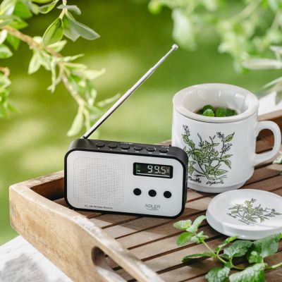 11. Radio ADLER AD 1907