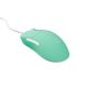 7. Fury Tanto T4 Gaming Mouse, 12,000 DPI, RGB, Mint, Wired