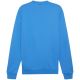 7. Puma Team Goal Casuals Crew Neck Sweat M 658592 02