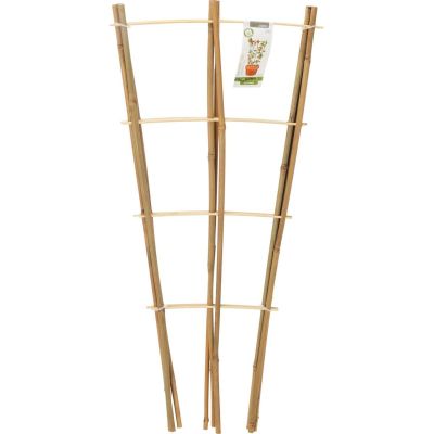 PROGARDEN BAMBOO PLANT SUPPORT LADDER 75 CM 3 PCS