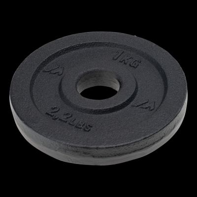 POWER PLATE Weight Plate 1 kg