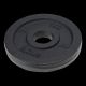 POWER PLATE Weight Plate 1 kg