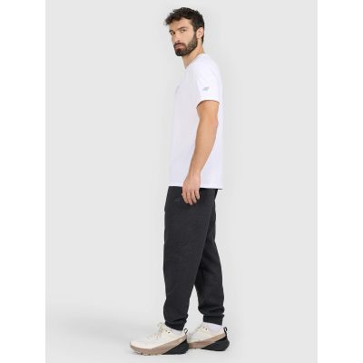6. Men's jogger sweatpants 4F 4FRAW25TTROM1696-22S