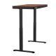 13. ACTIVEJET desk with electric height adjustment 120x60 ET119S black/white