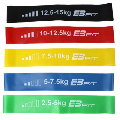 2. Fitness Crosfit mini Band 5in1 EB FIT 1028842 exercise band set