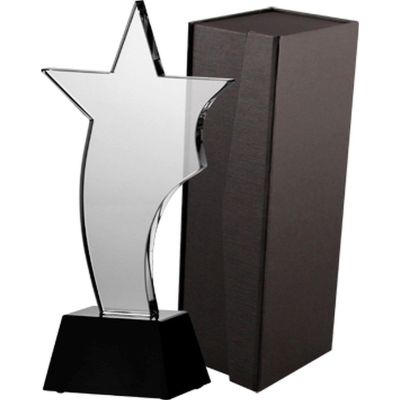 3. Glass trophy with case