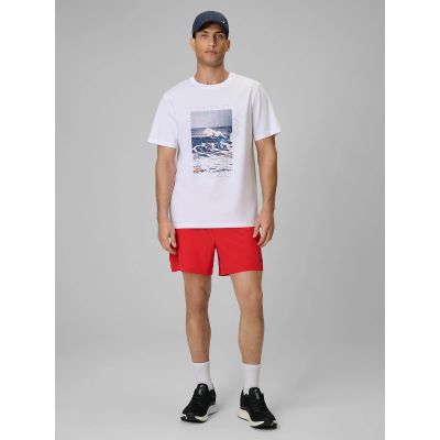 4. Men's regular printed T-shirt 4F 4FWSS26TTSHM2783-10S
