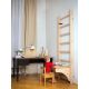 32. A DESK COVER FOR A WOODEN LADDER FOR A PULL-UP BAR BENCHK BT204