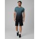 7. Men's quick-drying regular training T-shirt 4F 4FRSS26TFTSM2458-46A