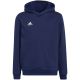 6. Adidas Entrada 22 Hoody Jr Sweatshirt H57517