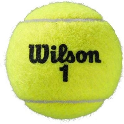 4. Wilson All Court Tennis Ball Roland Garros 3 pcs ITF