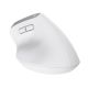 7. TRUST Bayo+ Multidevice Wireless Ergonomic Mouse