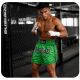 3. Men’s PASTEL GREEN V2 COMBATWEAR Muay Thai Shorts | DBX Bushido