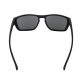 5. PIT BULL WEST COAST MARZO sunglasses black and silver