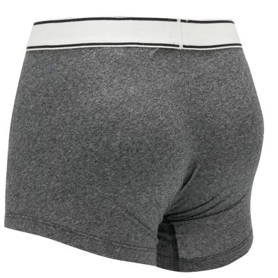 8. Levi's Boxer 2 Pairs Briefs underwear 37149-0398
