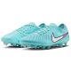 4. Nike Tiempo Legend 10 Elite FG DV4328-401 shoes