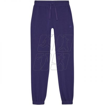 Trousers 4F CAS F1138 W 4FWMM00TTROF1138 31S