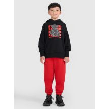 Boys' jogger sweatpants 4F 4FJRAW25TTROM1634-62S