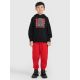 Boys' jogger sweatpants 4F 4FJRAW25TTROM1634-62S