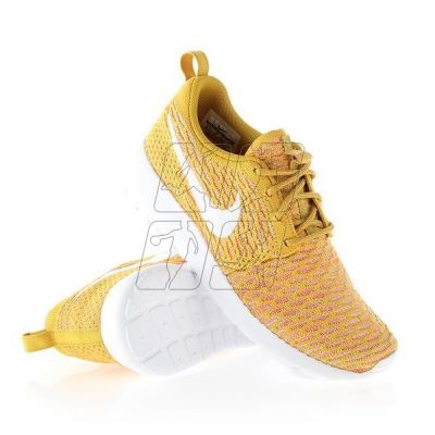 2. Nike Rosherun Flyknit W 704927-700 shoes