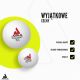 14. JOOLA TOURNAMENT TABLE TENNIS BALLS 3 STARS 72 PCS WHITE