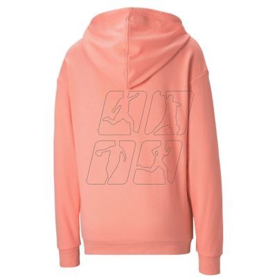 2. Puma Modern Basics Hoodie W 585933 26