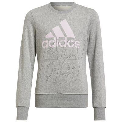 Sweatshirt adidas Big Logo Swt Jr HM8706