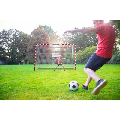 6. Football goal with net 300x200x110 cm Allround Dunlop - 0666